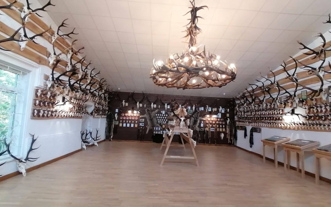 Medžioklės trofėjai laukia lankytojų