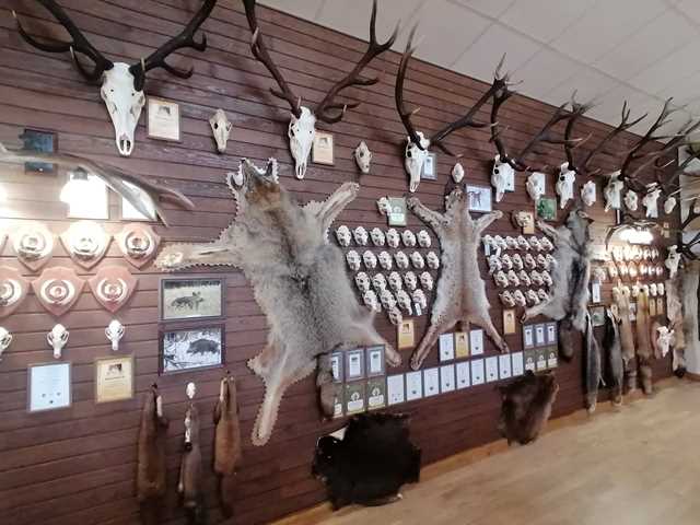 Aplankykite unikalią medžioklės trofėjų parodą