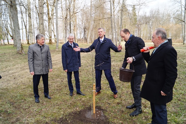 Dvaro parke žaliuos rajono tarybos ąžuolas