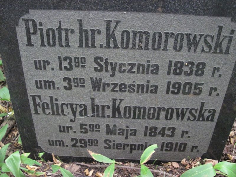 Grafo Petro Komorovskio kapas Ratkūnuose 2011 m. (K. Kurpiaus nuotr.)