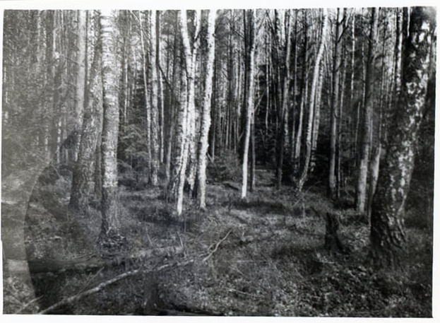 Pranas Paršonis (6)