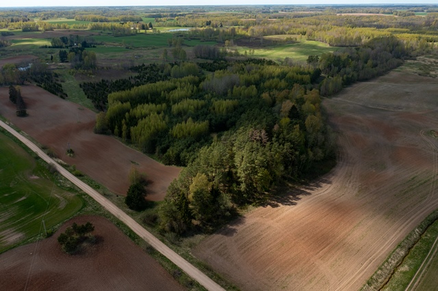 Muziejininkų ekspedicija dar nesibaigė