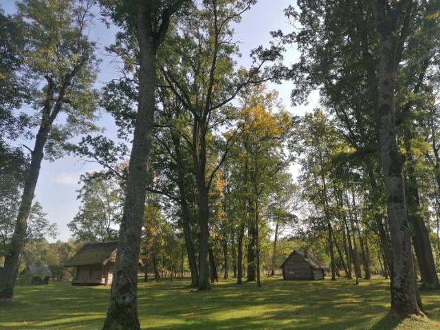 Šeštadienį kviečiame į dvaro parką